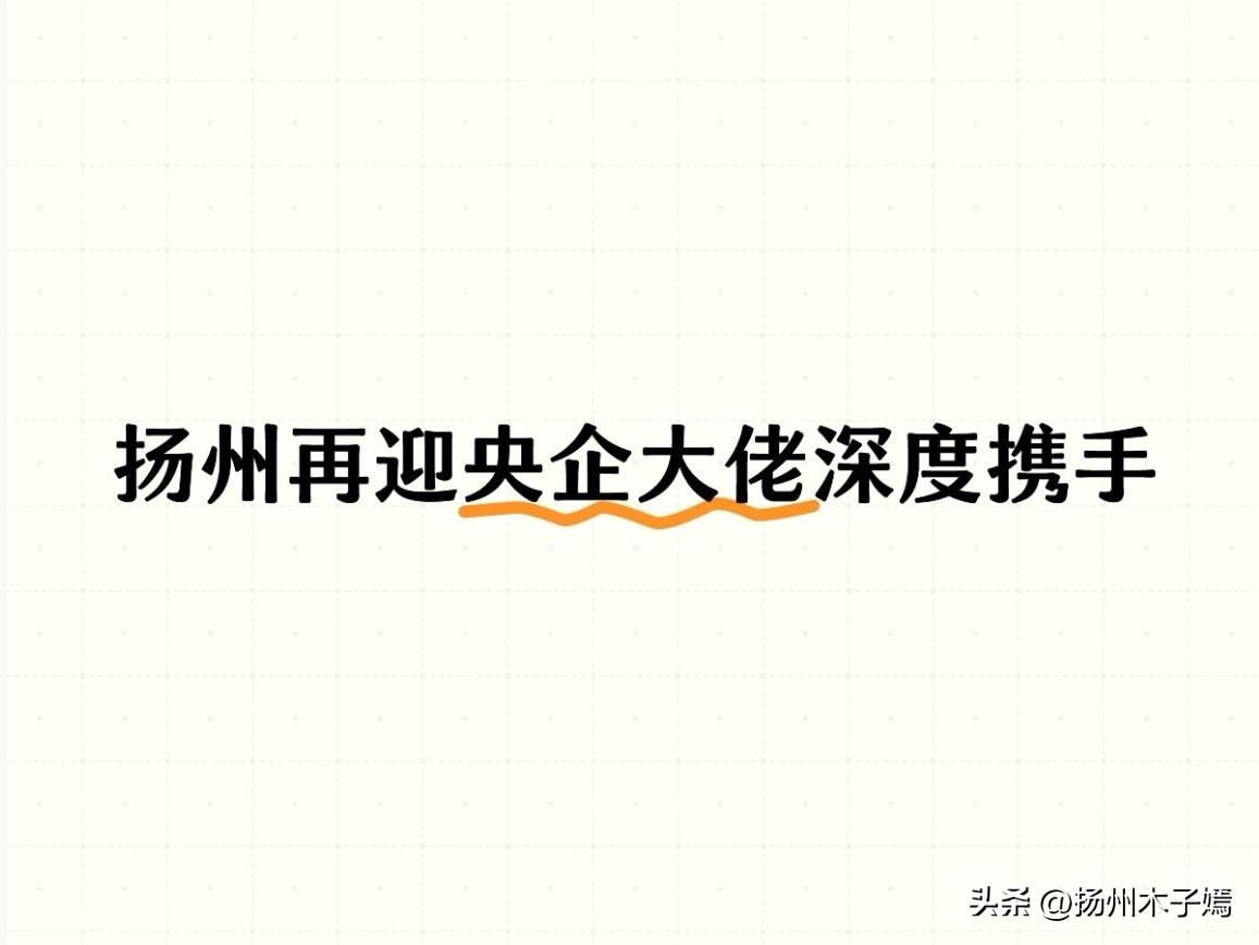 5月21日，扬州迎来重要重磅会面！扬州市委书记王进健会见中国电子信息产业集团党组