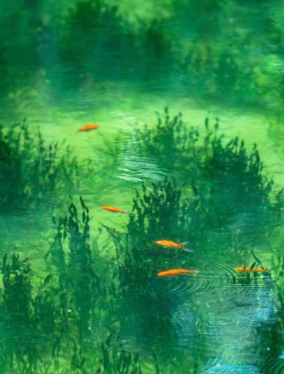 今年甲木乙木喜绿色喜到什么程度，喜到全身上下都穿绿色就连买帽子都想买绿色的程度。