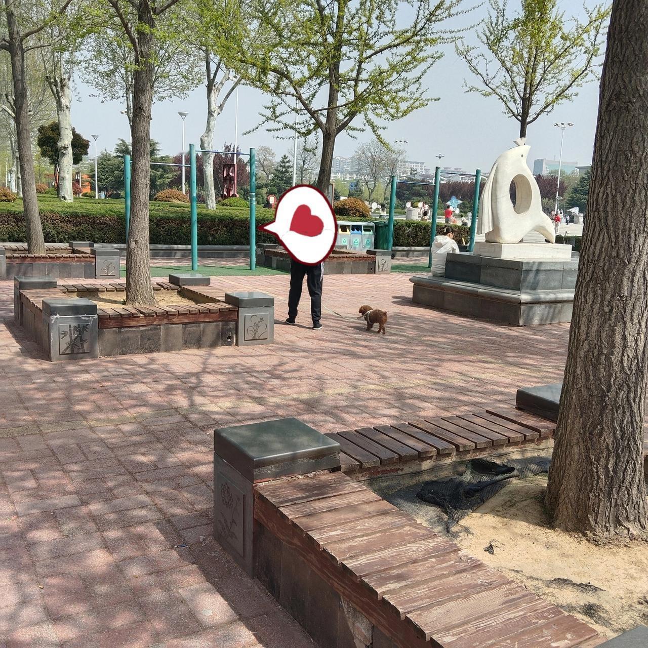 今天上午我在莒州博物馆广场锻炼，我看到一个男子拿着20公斤的壶铃锻炼，我征询他的