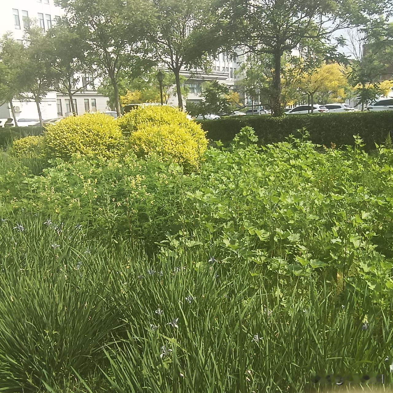 喜欢占小便宜，凡事精于算计，只想着自己得利，从不顾及别人难处；习惯当面一套背后一