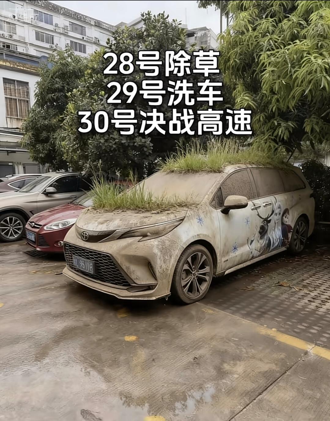 一年二桶油够么！？马上国庆，荒废半年的车可以开了[呲牙]

对这样的车真的应该多