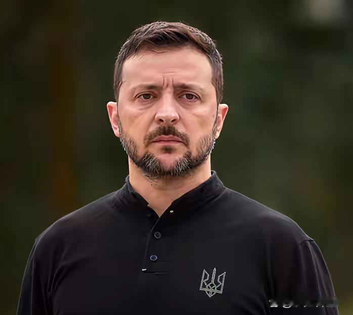 和平方案可能面临失败？泽连斯基直接表明态度！

12月16日，RBC-乌克兰报道