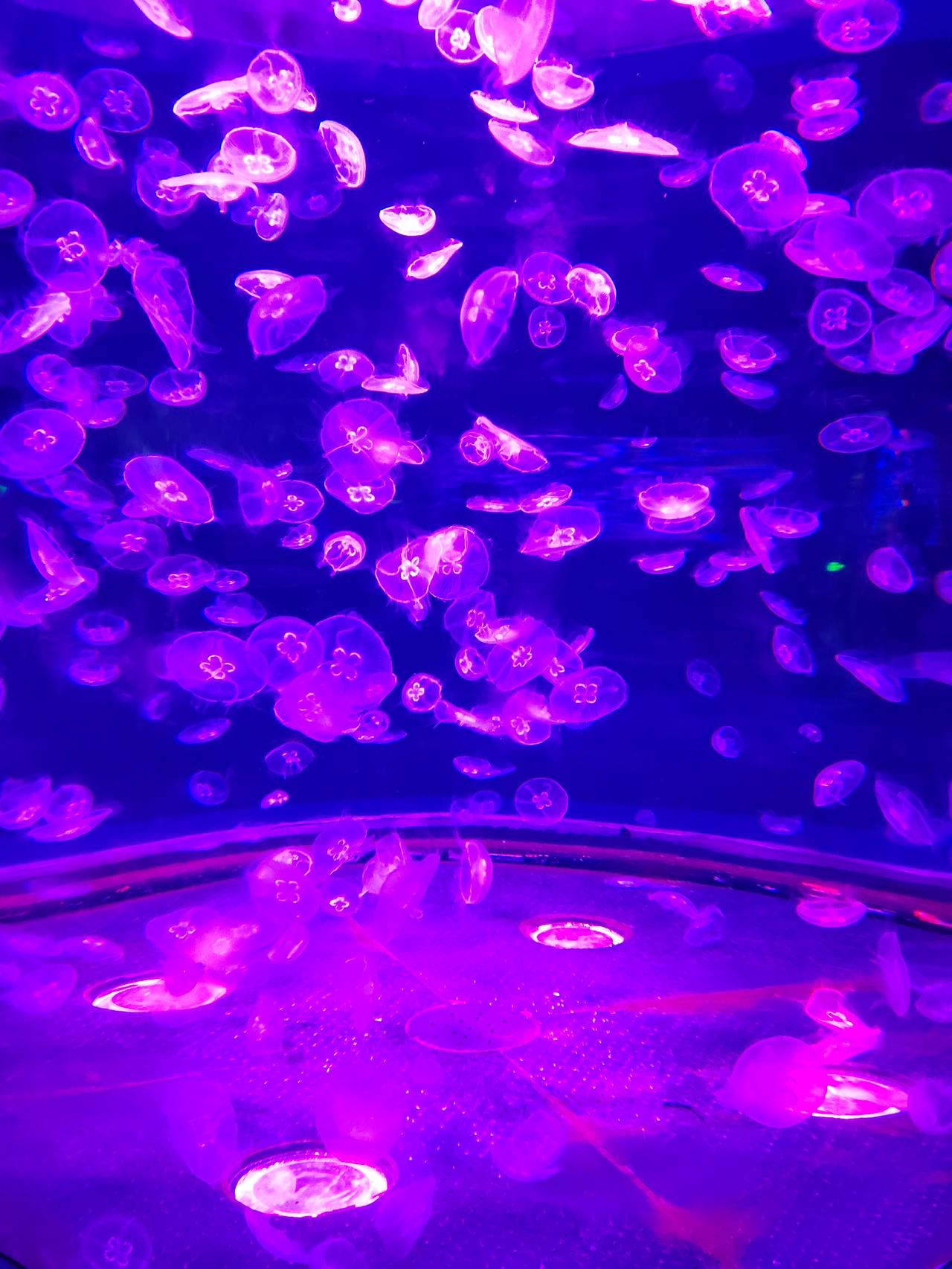 这是一个不错的地方呦