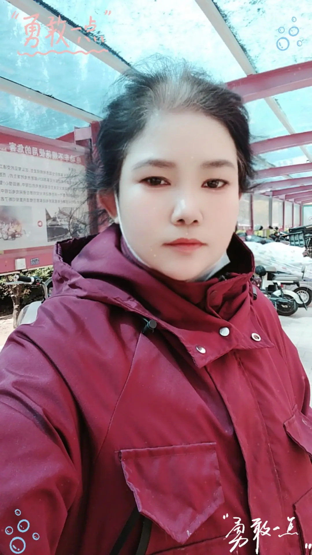 今年风好大好多人都不敢出门了，为了一帮猫孩子我没有感觉到害怕，有一个大...