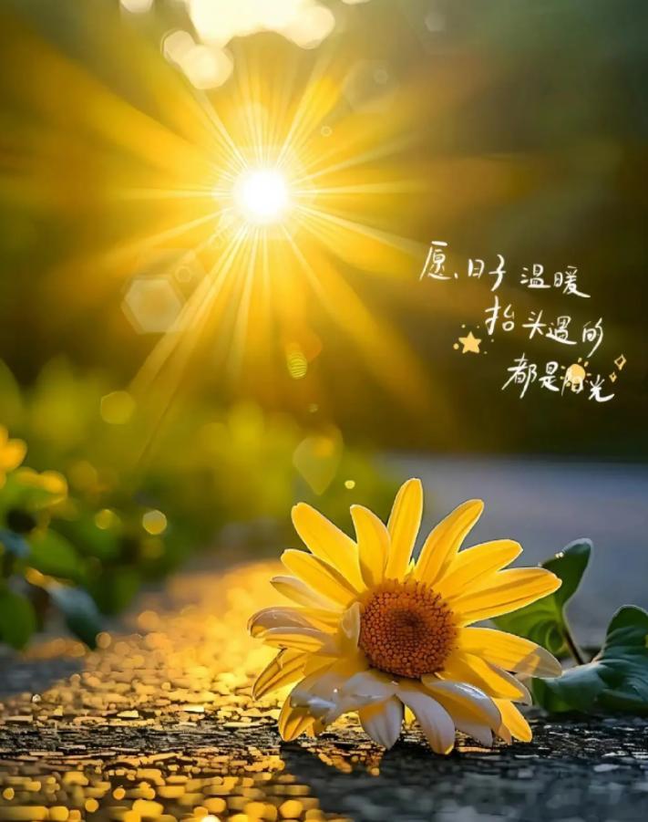 每日一善 不怕万人阻挡，只怕自己投降。心中的阳光，会指引你穿越黑暗，迎接光明。 