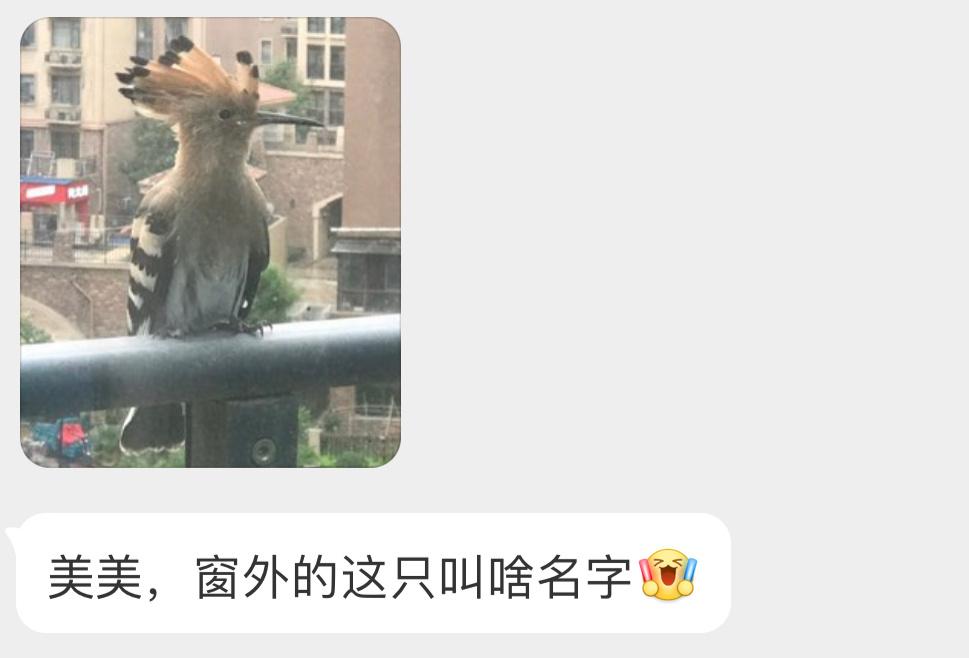 送分题环节～大声说出它滴名字！ ​​​