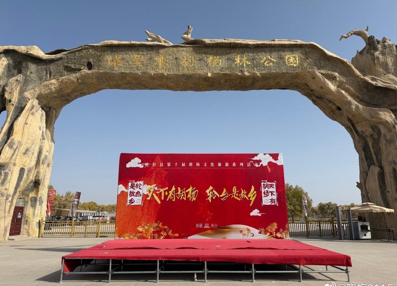 轮台塔里木胡杨林。十月的南疆，是被胡杨点燃的时刻。塔里木河两岸1400万亩胡杨林