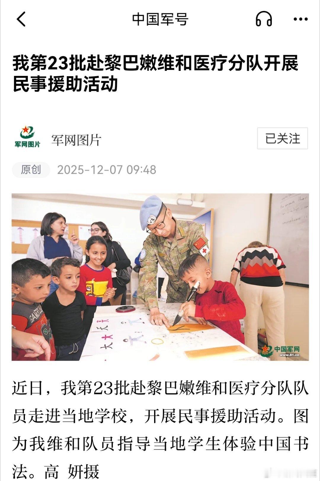 精忠蓝盔致敬中国蓝盔致敬中国军人 我第23批赴黎巴嫩维和医疗分队开展民事援助活动