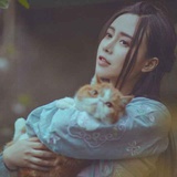 丸丸爱聚