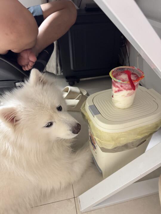 拿这个考验干部？？？？？