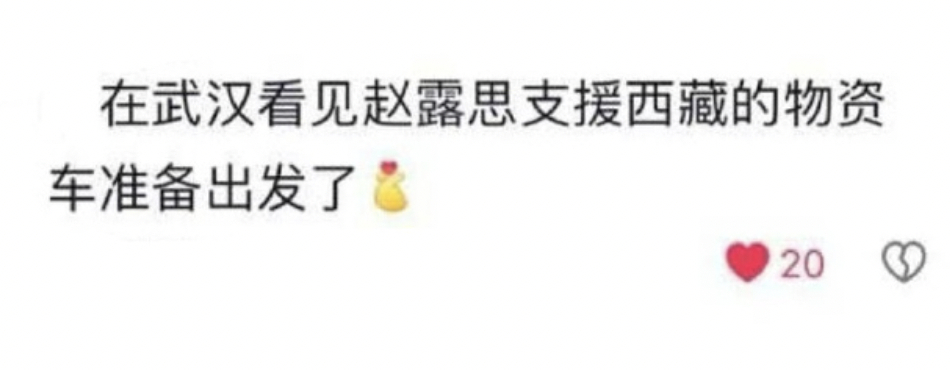 赵露思默默地给西藏捐款和捐物资了，都没看到人发。[苦涩] 