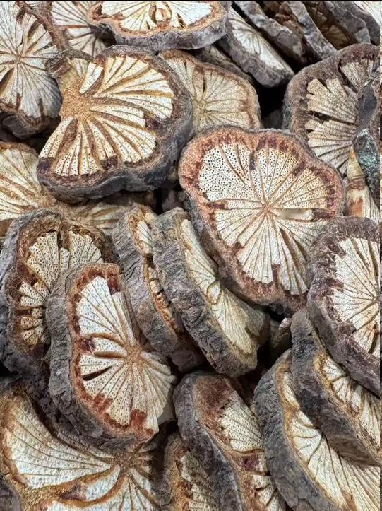 张仲景的 “通利” 智慧！这方法不依赖手术，专攻 2 - 5 年肾囊肿，助众多患