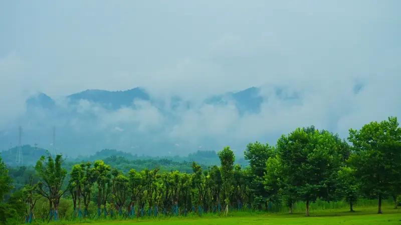 上联：风吹雾散青山秀，下联如何对雨霁云开绿水长。