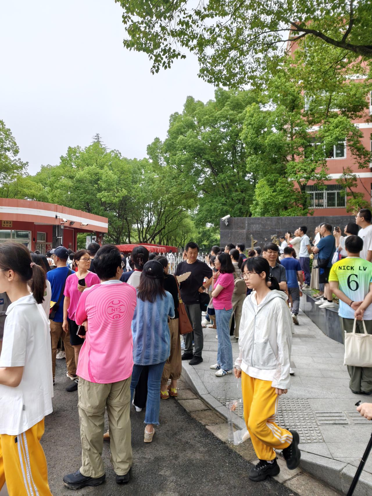 忆秦娥  .  梅雨赶考

梅雨密，
书生踏水行途疾。
行途疾，
几番寒暑，盼凌