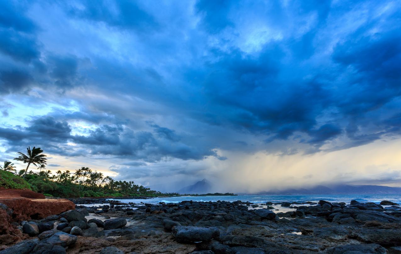 蝉鸣催午钟声闷，
烈日煎茶焦叶纹。
倦犬蔫花舍荫喘，
忽闻雷动吉云分。