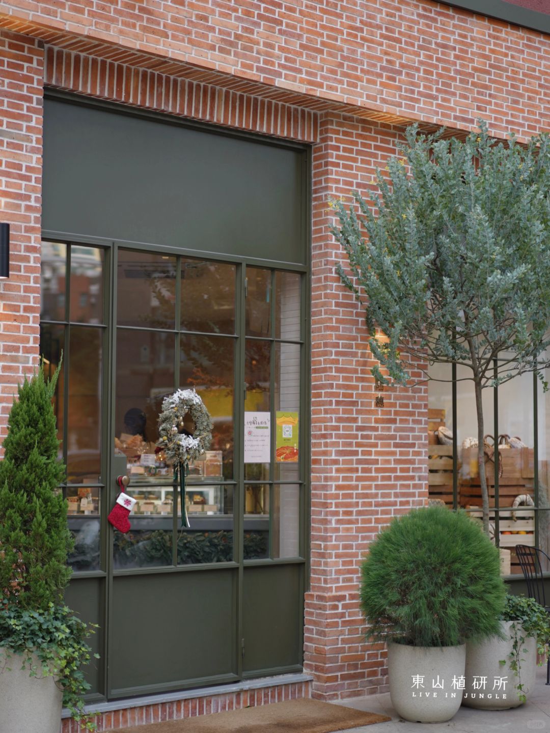 户外绿植布置🌲打造氛围感温馨空间📷秒出片