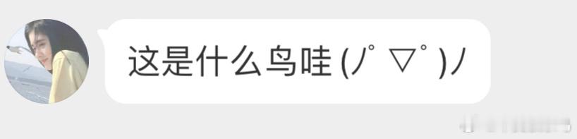 填空题环节～小（ ）（ ）穿花衣，年年春天来这里～ ​​​