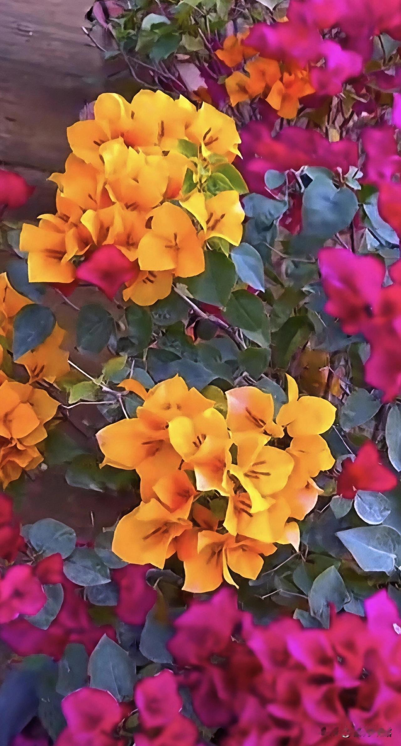 马年接好运，瑞气满人间！大年初十来到，祝您时来运转，马年好运连连！祝您鸿运当头，