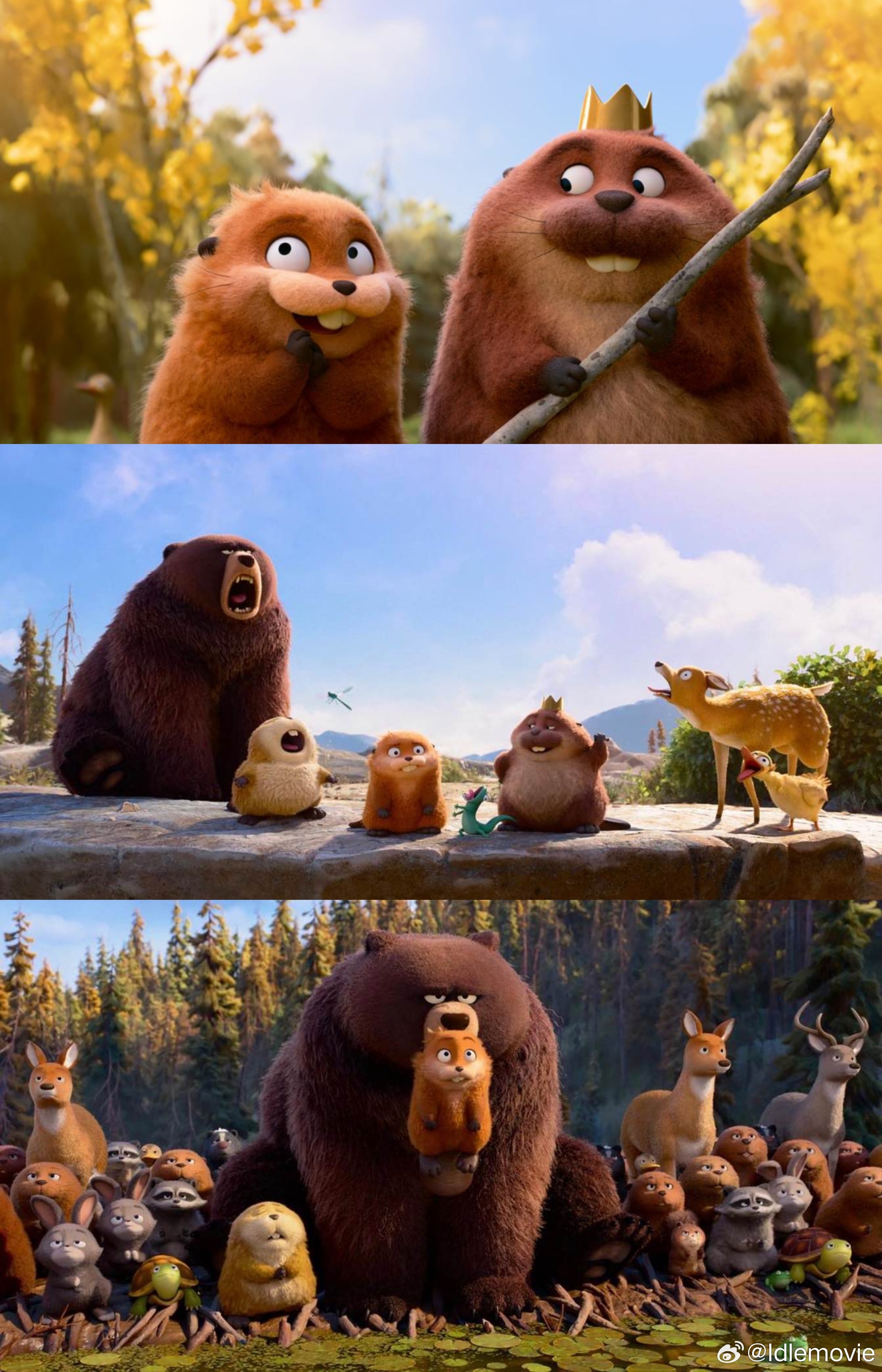 河狸变身计划（2025） 我的评分：众所周知，皮克斯是奥斯卡常客，精品保证，票房