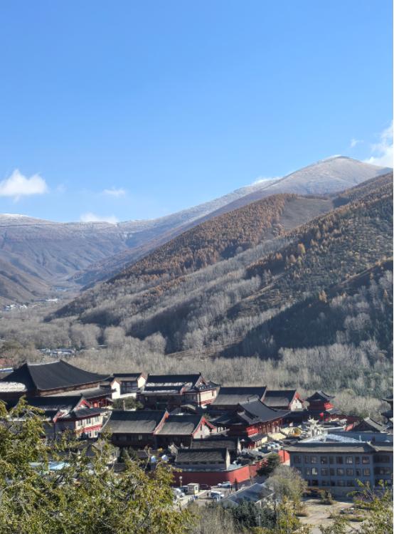 美国的优势在于什么呢？从最近这些年美国的现实情况来看，就在于美国社会的达尔文主义