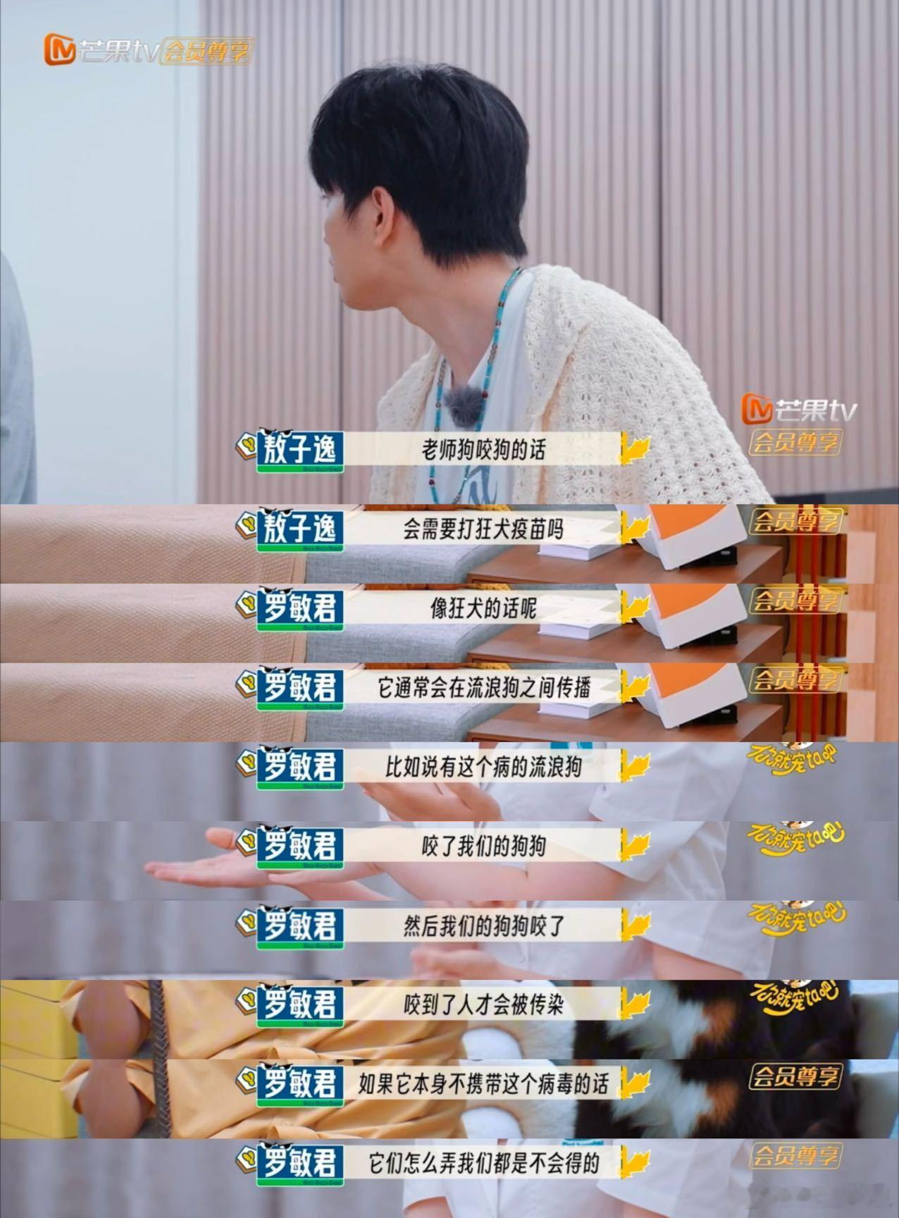 狗咬狗需要打狂犬疫苗吗《你就宠ta吧》里敖子逸的疑问戳中很多人的心，专家科普让我