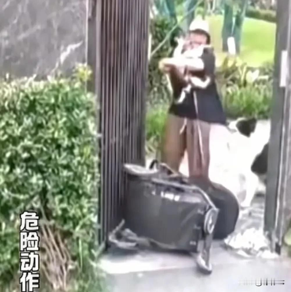 “狗是亲生，孩子是赠品⁉️”刷屏争议背后，别放过失责的狗主🔥🔥🔥
近日湖南