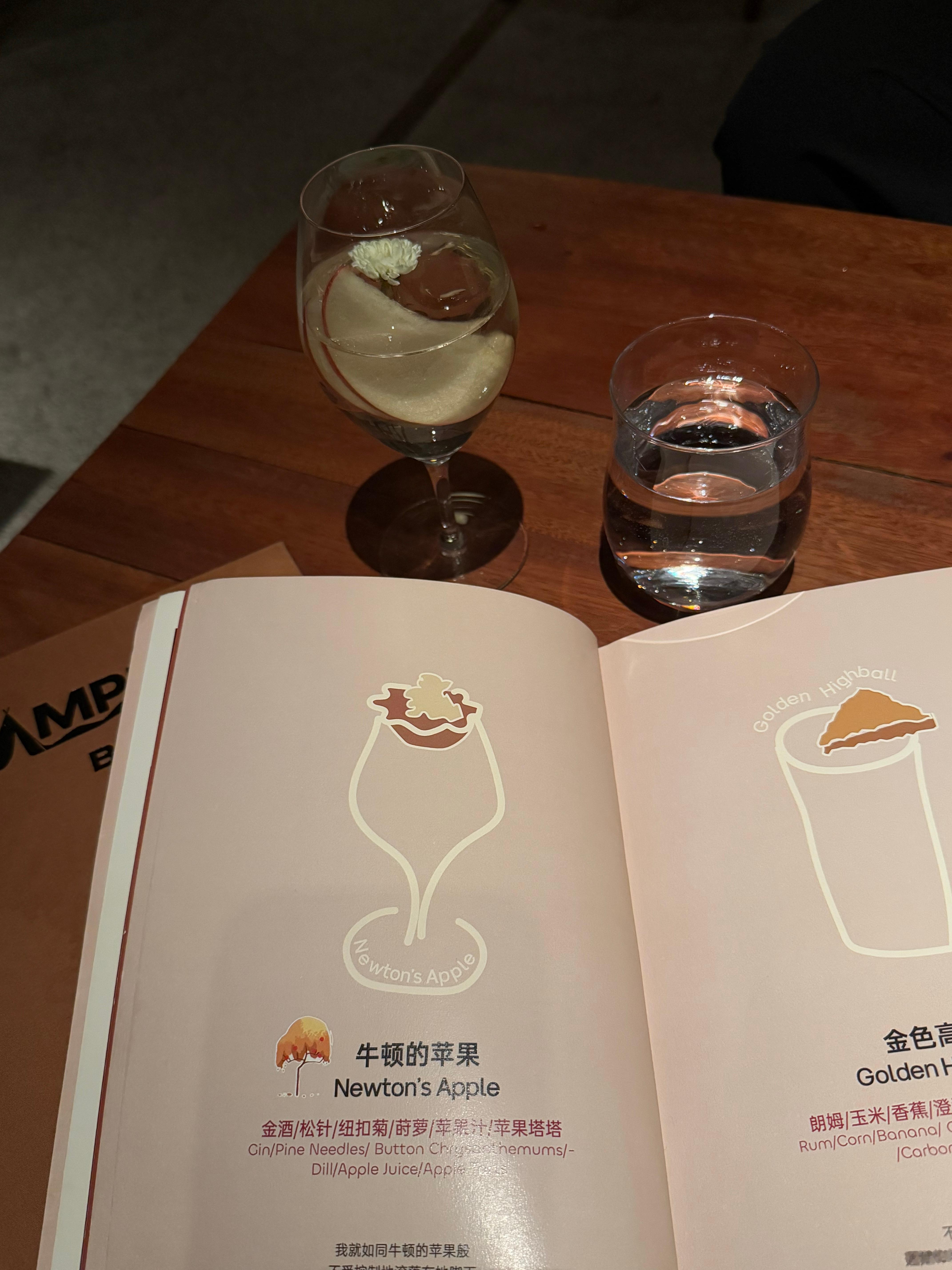 🥂金陵没有北平灵药 只有牛顿的苹果 