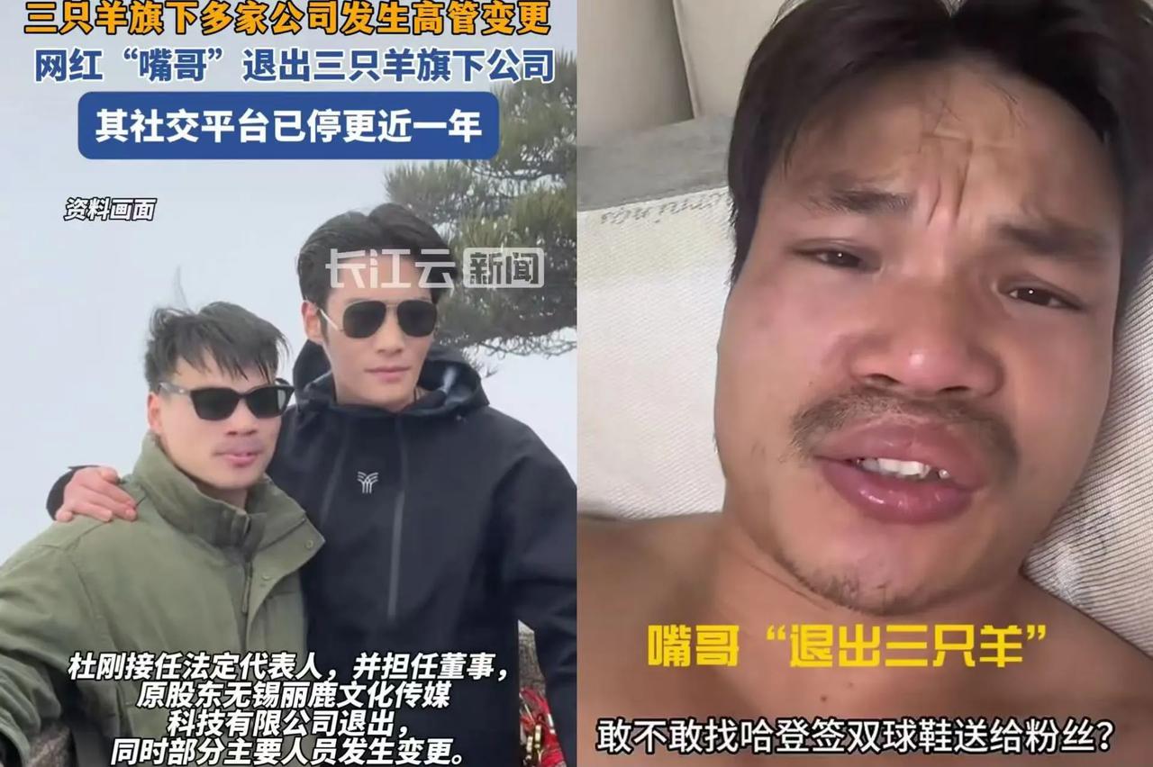 嘴哥退了三只羊的公司，所有职务都卸了。

之前传他解约要一个亿，是单飞的坎。
