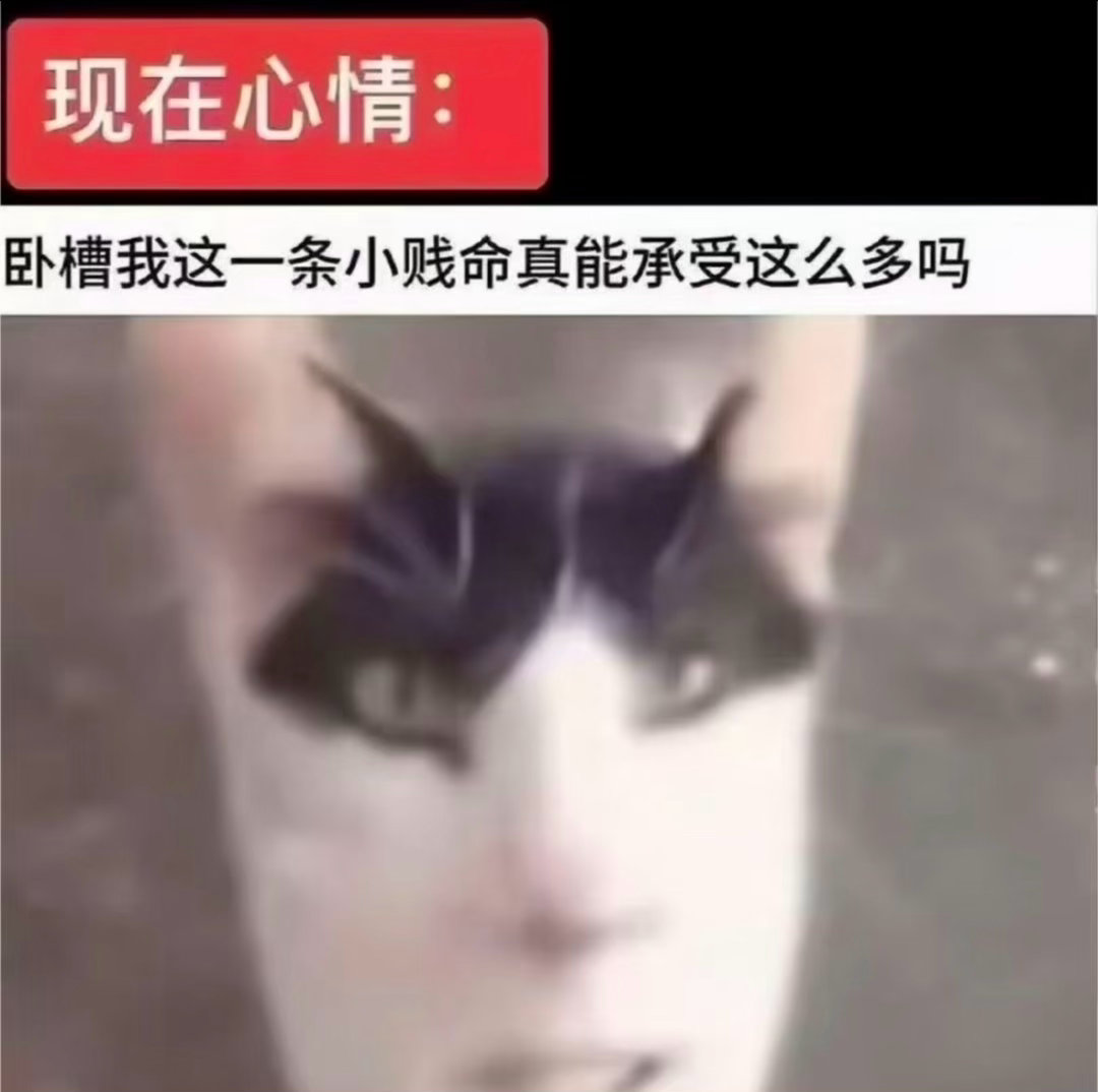 你们说有没有可能老花自制了一档综艺是和100个不同的男嘉宾约会这样 
