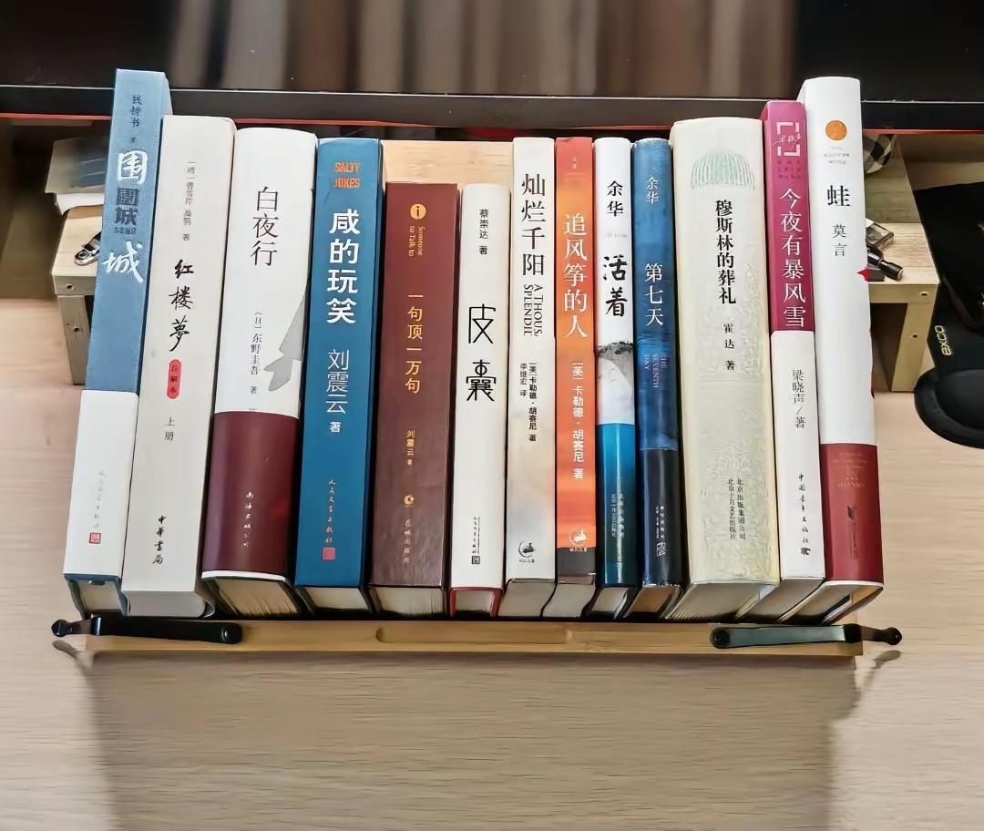 这些书中，那本最是你的意难平 