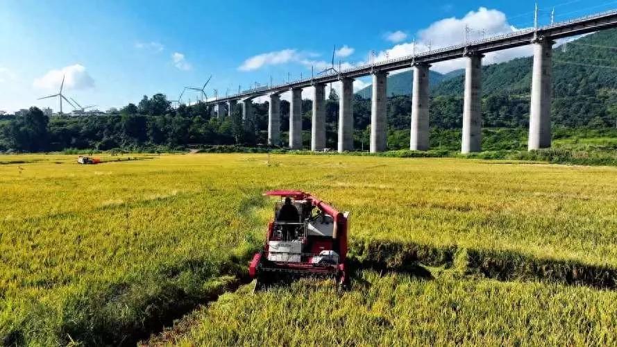 中美俄这三个大国的耕地面积是多少？美国耕地面积约166.9万平方公里，俄罗斯耕地