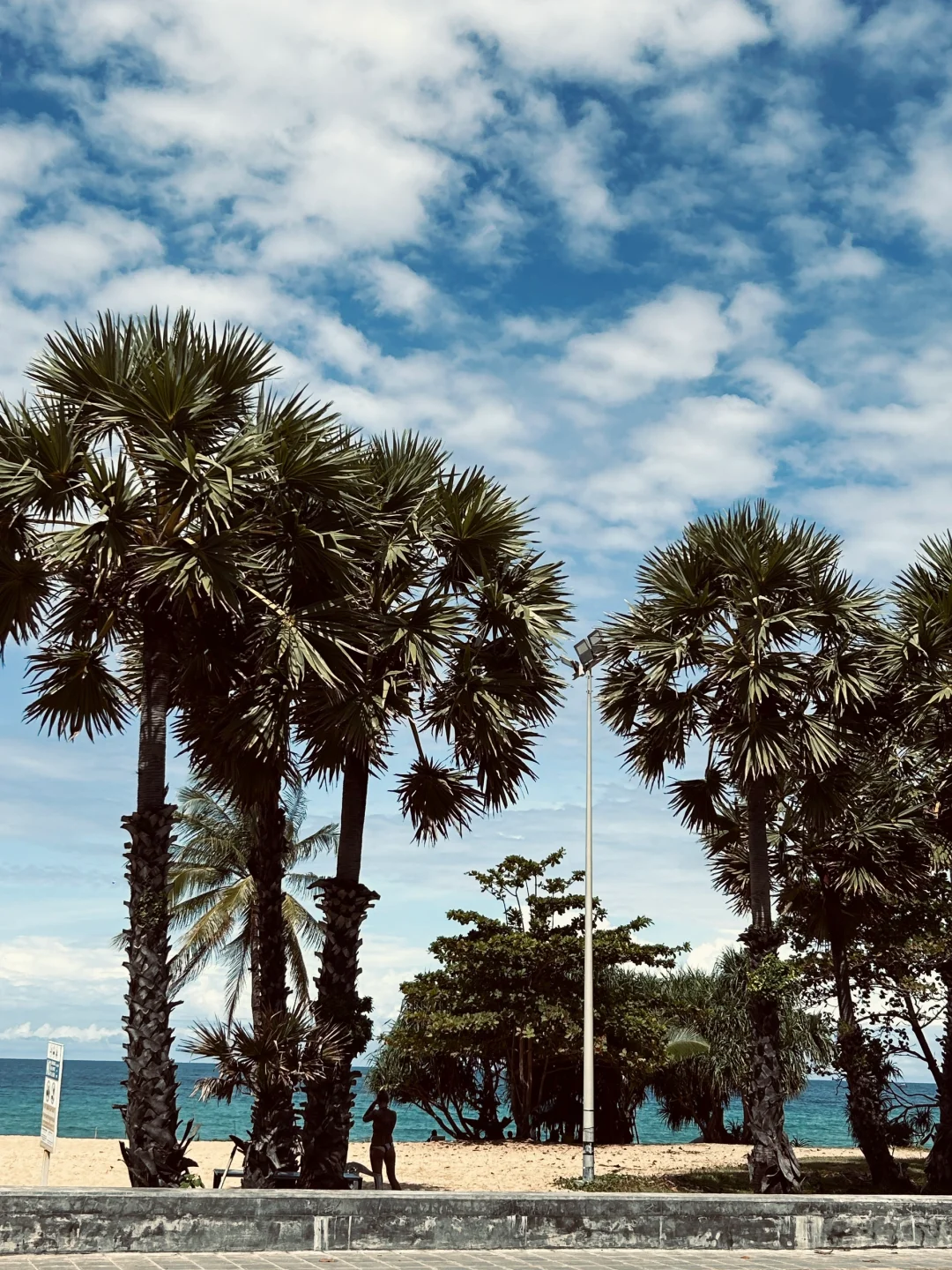 老子与海🌊