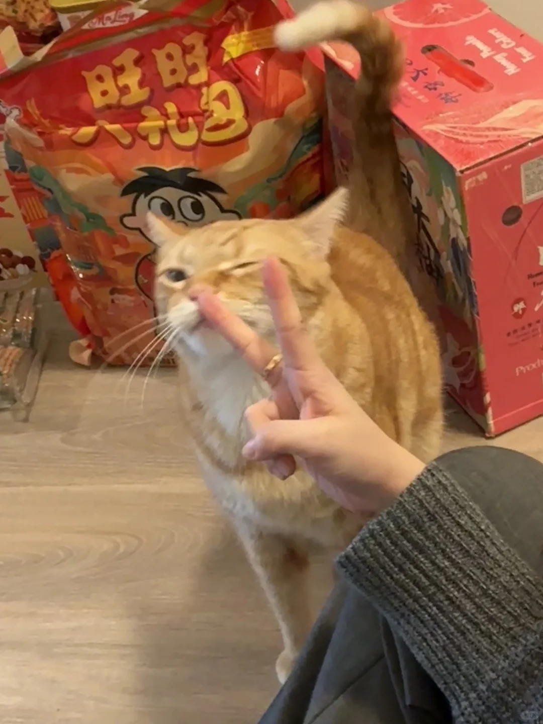 陪麻麻搬了个家生了个病 来拜个晚年