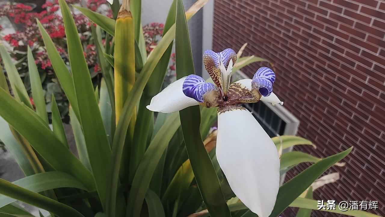 看到家里人聊天说到六祖庙去求这求那。我心想，六祖说：本来无一物，何处惹尘埃，他会