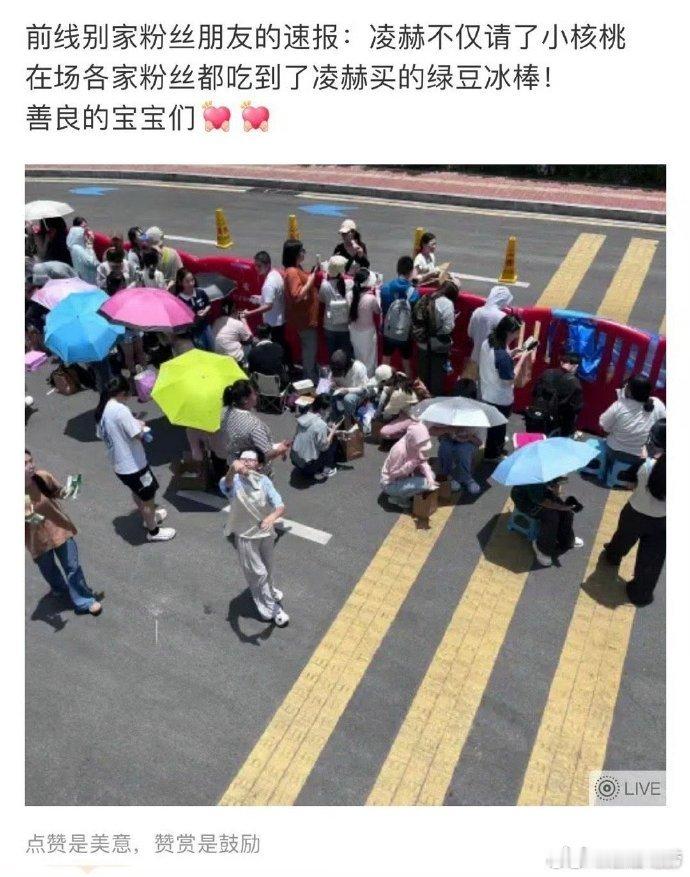 #张凌赫请各家粉丝吃冰棒# 张凌赫不仅请了小核桃们吃绿豆冰棒，也请了在场各家粉丝