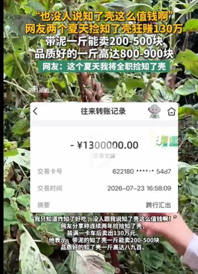 新闻说一个网友两个夏天捡知了壳狂赚130万，这让无数网友羡慕不已，一些人说我知道