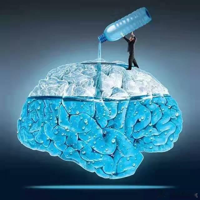 思考 比预制菜更可怕的是预制人。什么是预制人?就是被现代社会的教育系统和职业系统