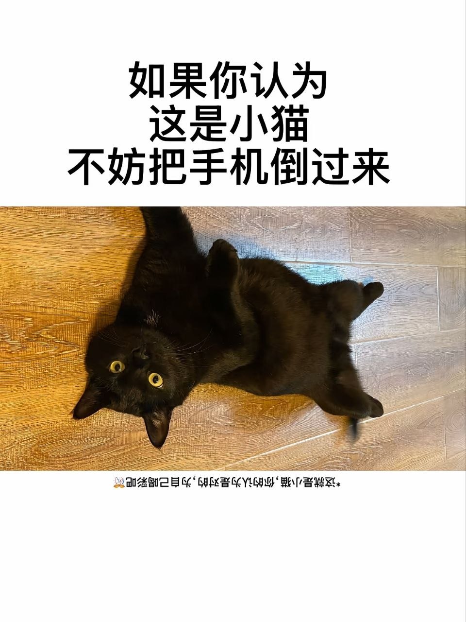 哇好神奇 