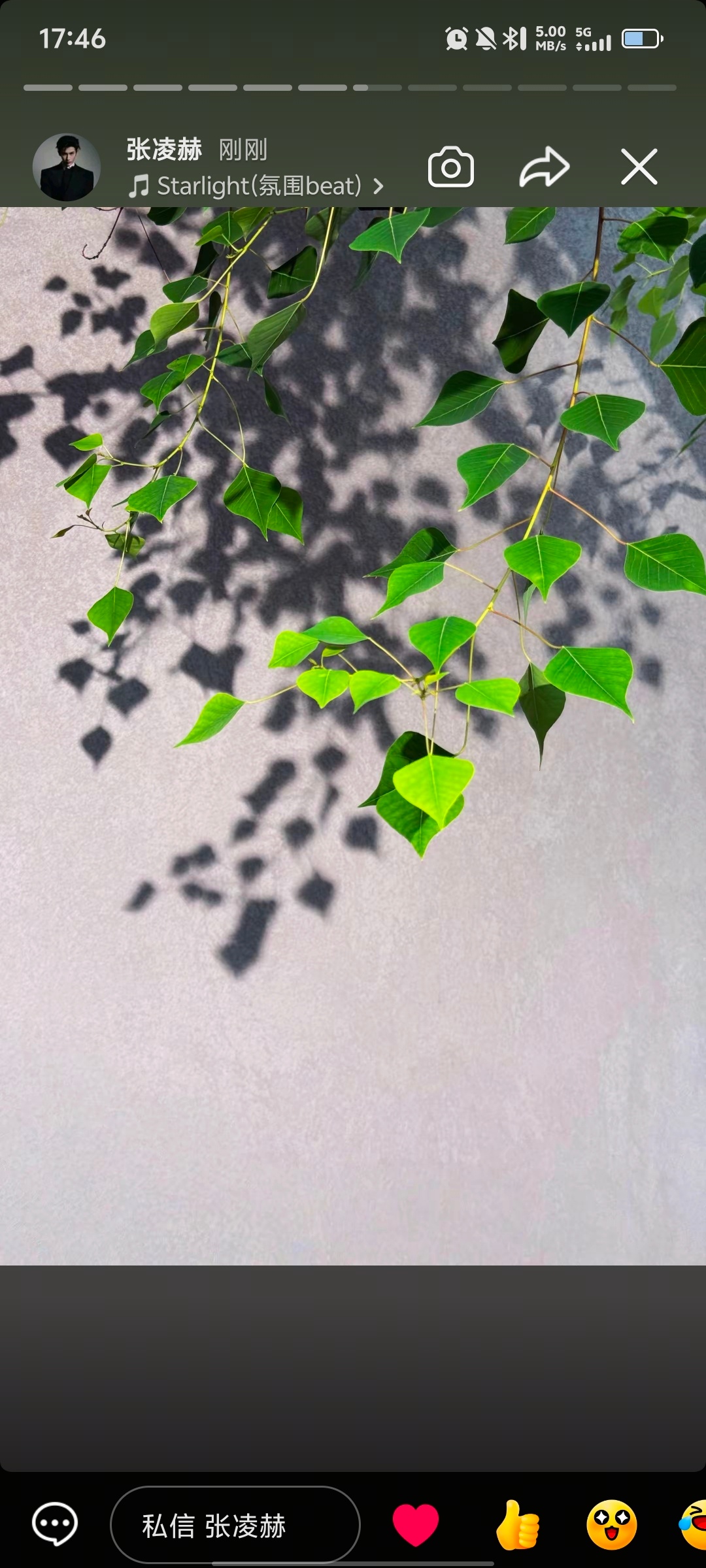 好有生命力的绿色💚 