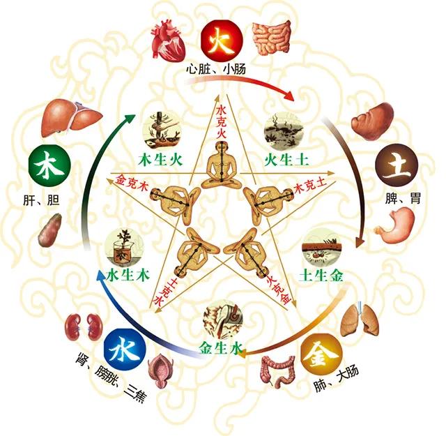 【五脏与六腑之间的关系，一次性跟你说清楚。】五脏：即心、肝、脾、肺、肾。六腑：胆
