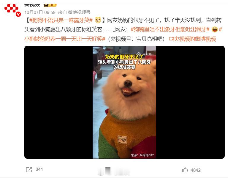 奶奶假牙不见小狗露八颗牙 我朋友，南京土著，家里那条狗是只串串，她说这事搁她妈身