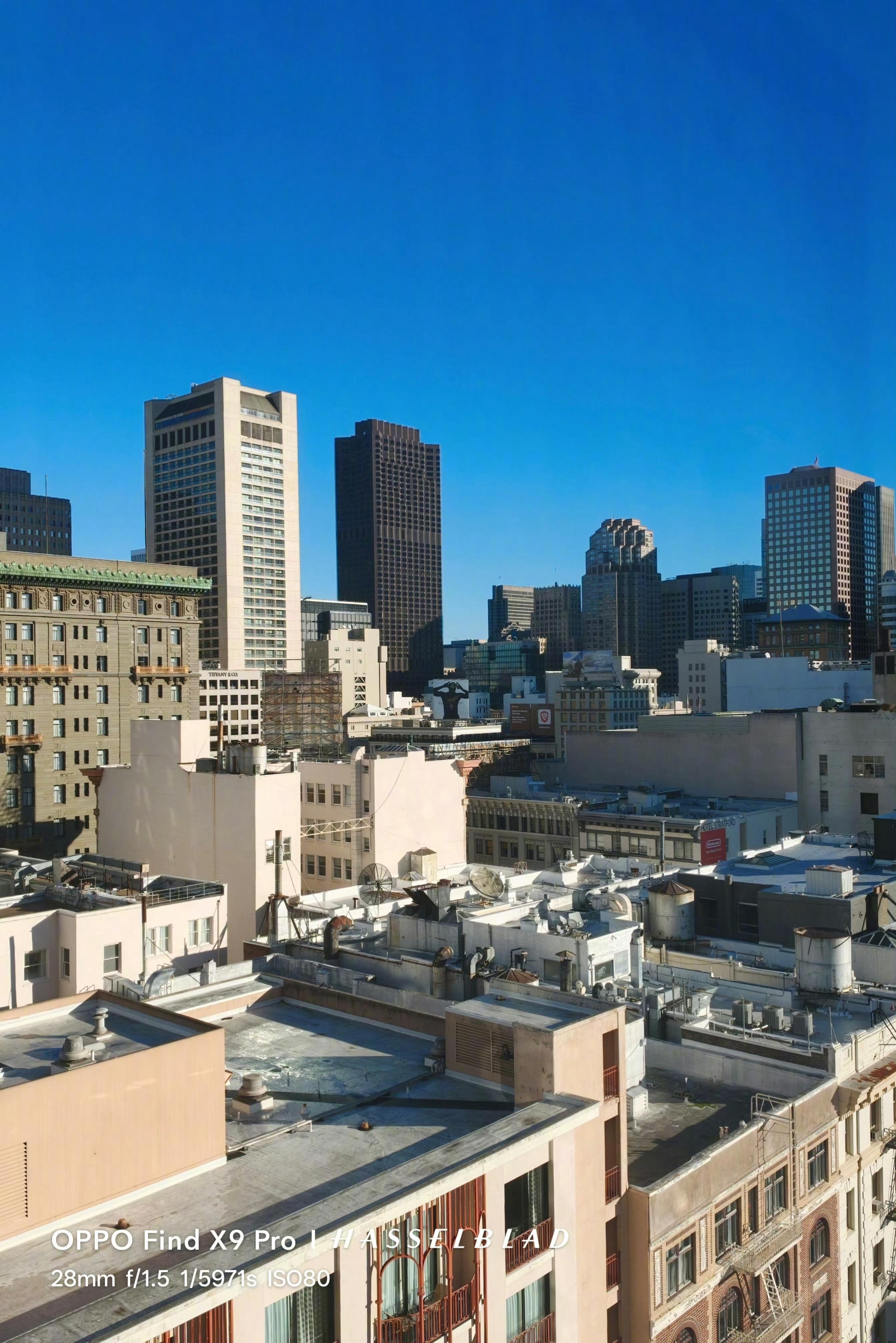 👑我就说总觉得窗外被什么人一直盯着看🐐👀  