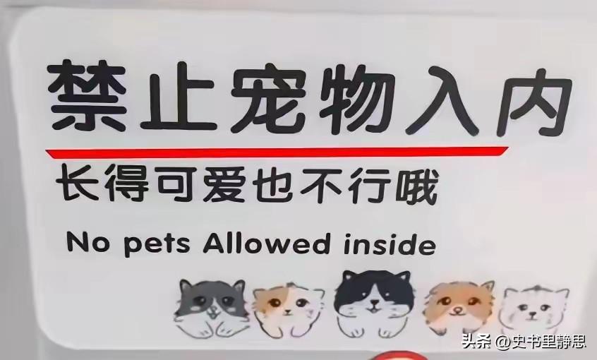 今天在早餐店看到的一幕让人感觉很快意，一位小姐姐牵着一条宠物狗想进店吃早餐，但是