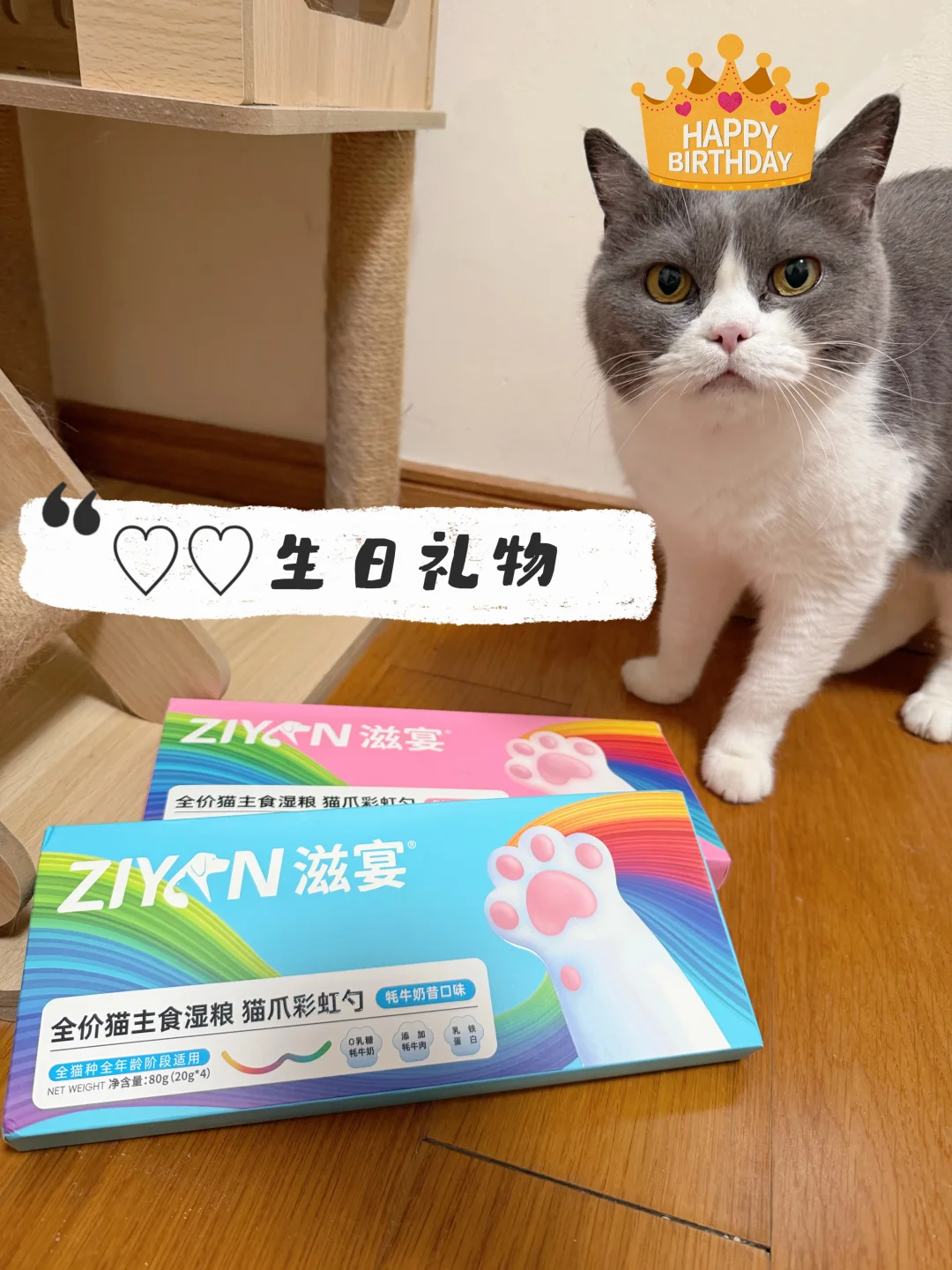 给大咪过生日咯🎂
