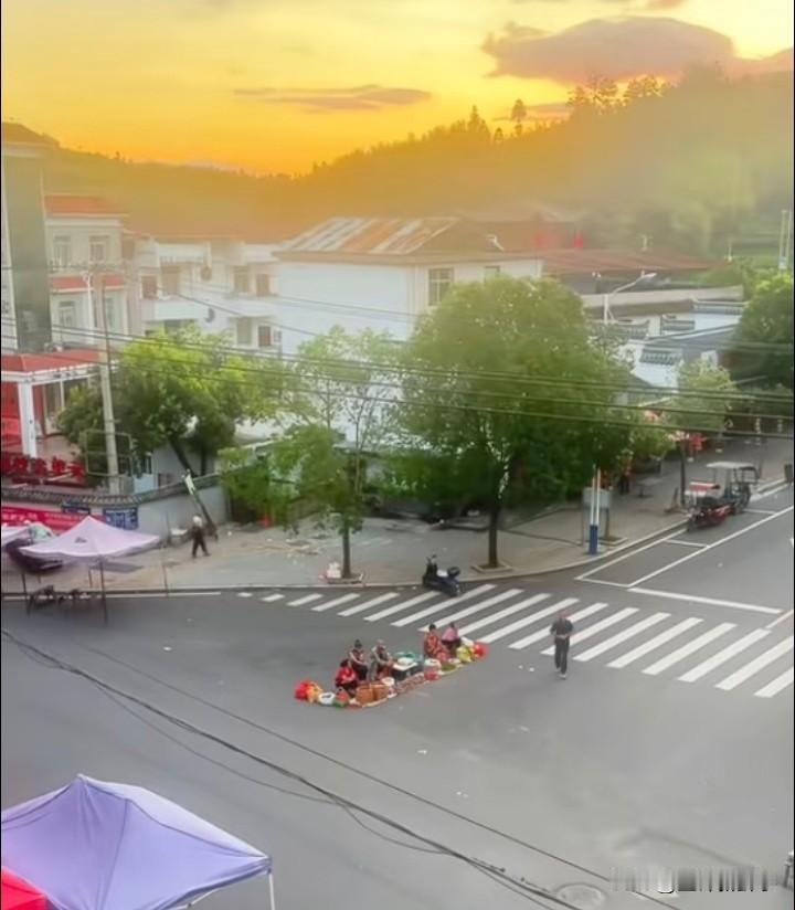 都是努力活着，但不要“活”在马路中间