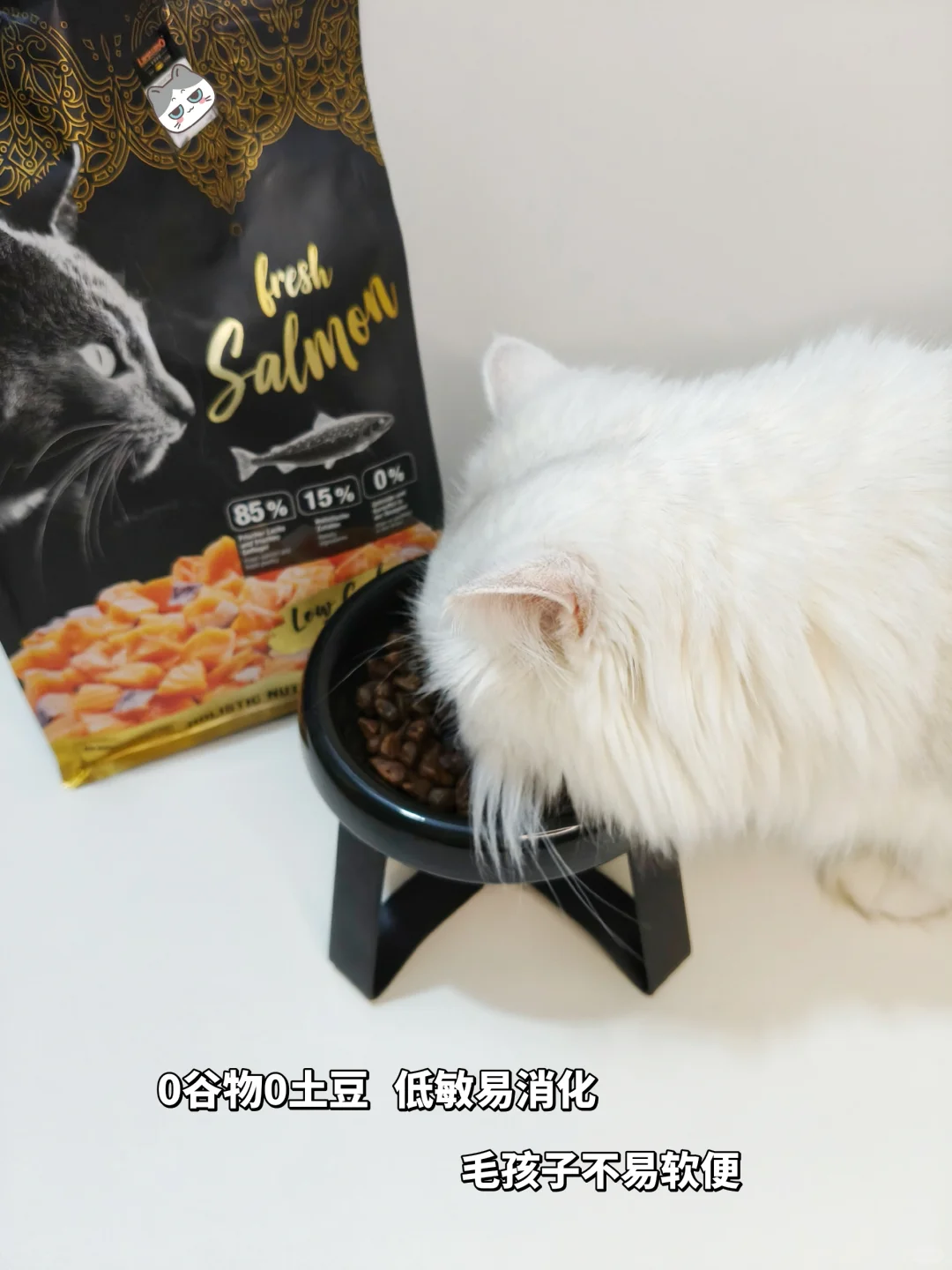 小猫咪近期猫粮分享🧾