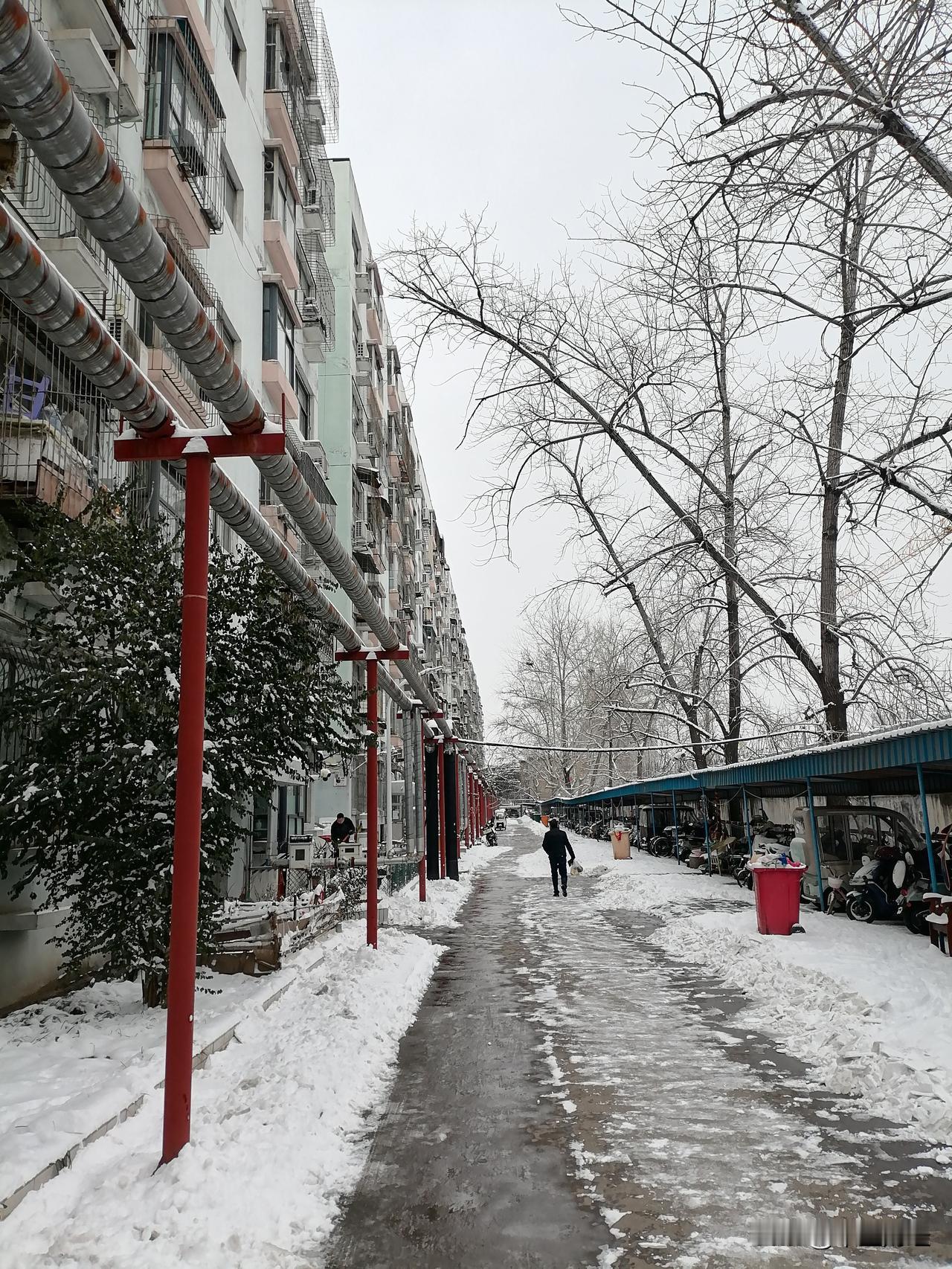 这个小区没有物业费，仅需每年支付140元的卫生费。
大雪纷飞过后，便有人主动清扫