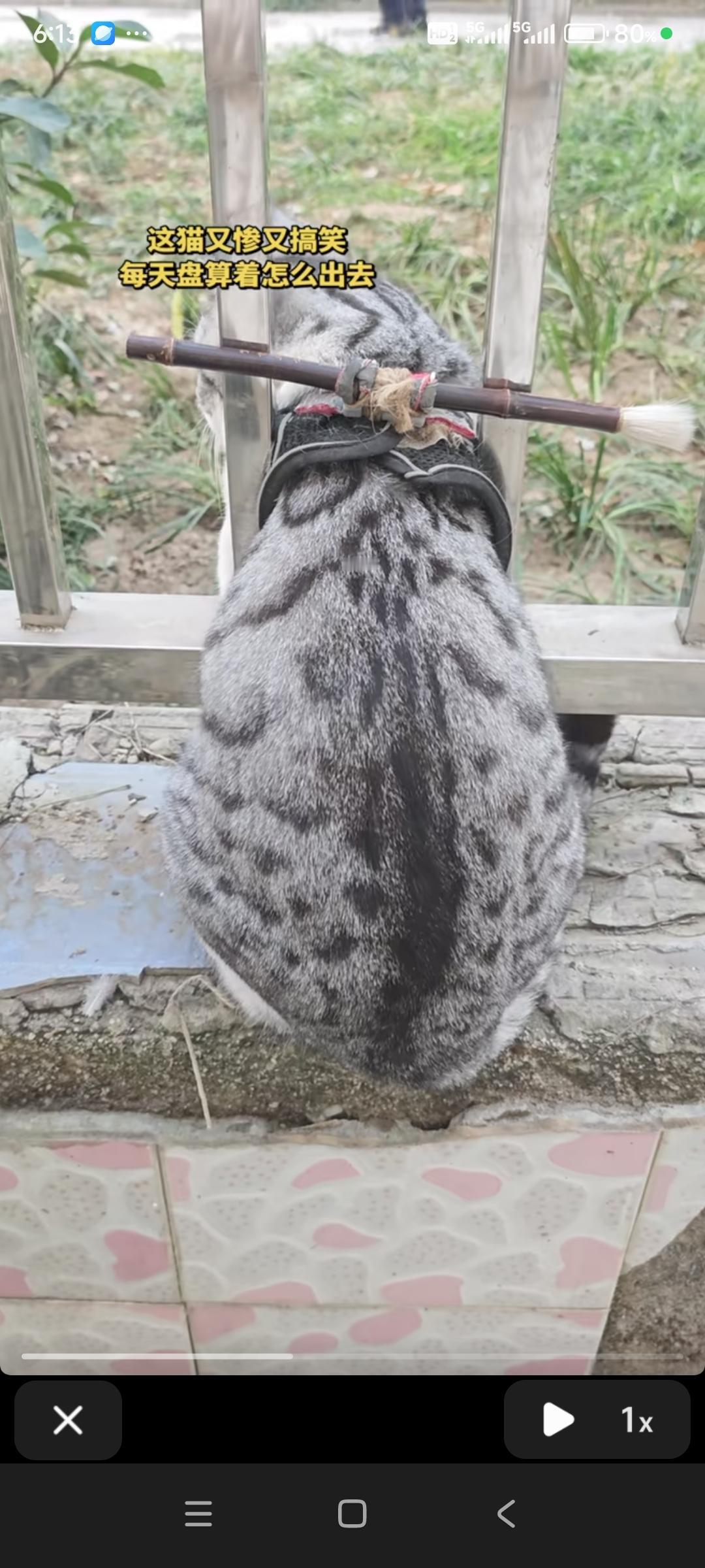 泓一法师说：家就是怨情债局君君臣臣，父父子子。。不是冤家不聚头。无怨不成夫妻，无