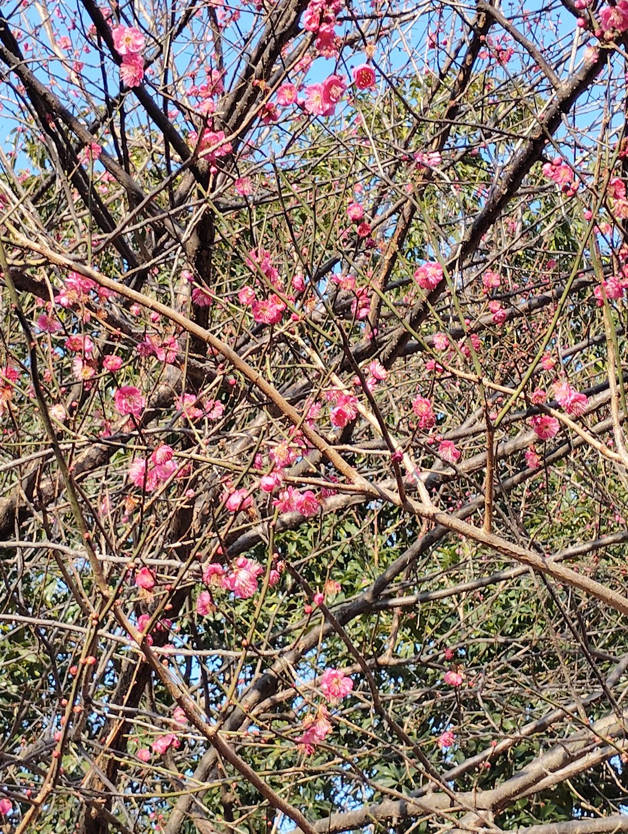 今天，明天，后天说实话，今天最重要。
今天它会实实在在的承现你计划和没计划的事情