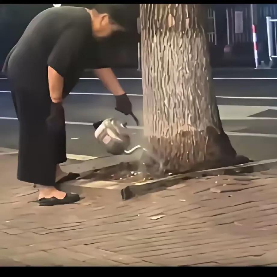 到一个视频，一个老太连续十四天用开水浇一棵银杏树。一开始不明原由的邻居，以为老太